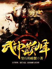 武神巅峰封面