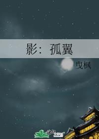 影：孤翼封面