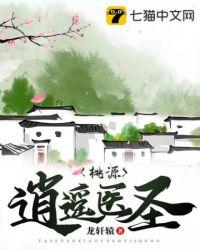 桃源逍遥医圣封面