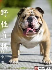 野性为王封面