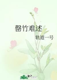 罄竹难述封面