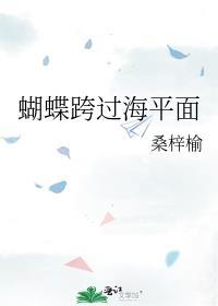 蝴蝶跨过海平面封面