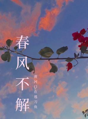 春风不解封面