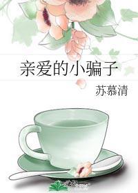 亲爱的小骗子封面