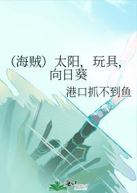 (海贼)太阳,玩具,向日葵封面