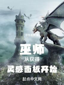 巫师从获得灵感面板开始封面