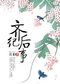 齐后纪事封面