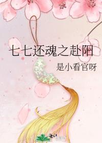 七七还魂之赴阳封面