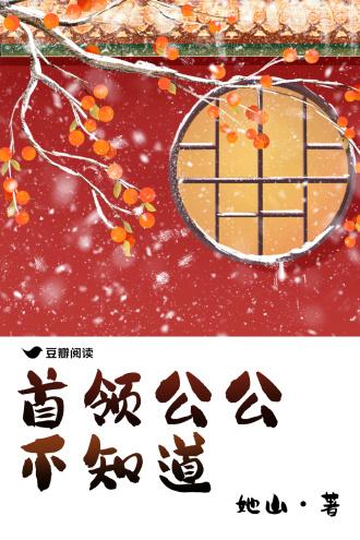 首领公公不知道封面