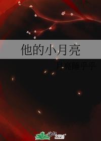 他的小月亮封面