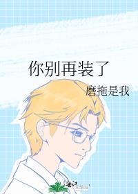 你别再装了封面