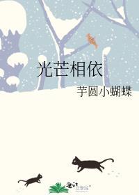光芒相依封面