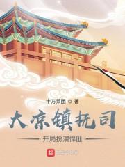 大凉镇抚司，开局扮演反派封面