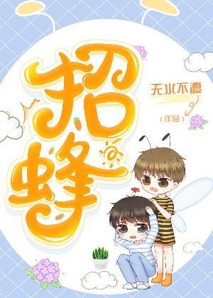 招蜂封面