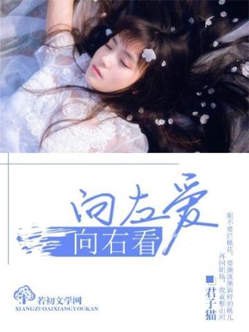 向左爱，向右看封面