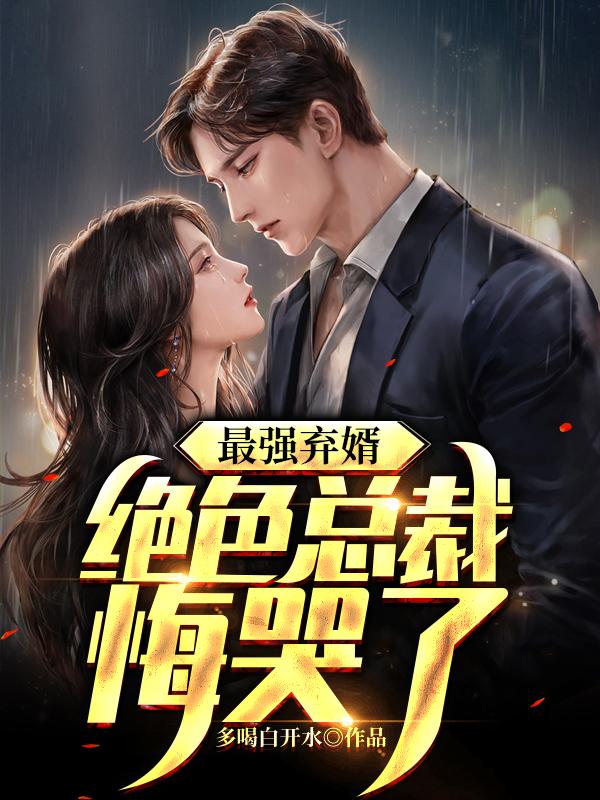 我的冰山女总裁封面