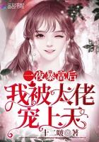 陆卿卿沈慕封面