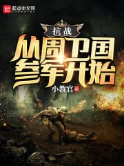 舰队司令封面