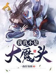 我真不是大魔头封面