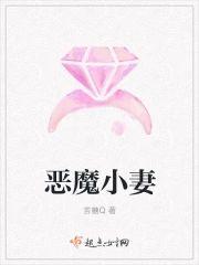 恶魔小妻封面