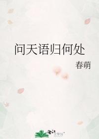 问天语归何处封面