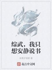 综武，我只想安静说书封面