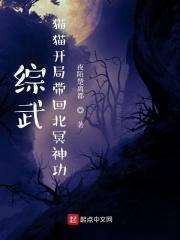 综武:猫猫开局带回北冥神功封面