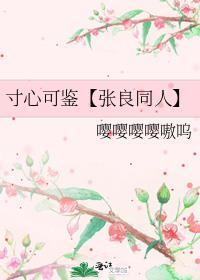 寸心可鉴【张良同人】封面