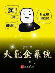 大氪金系统封面