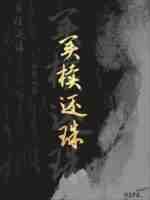 买椟还珠封面