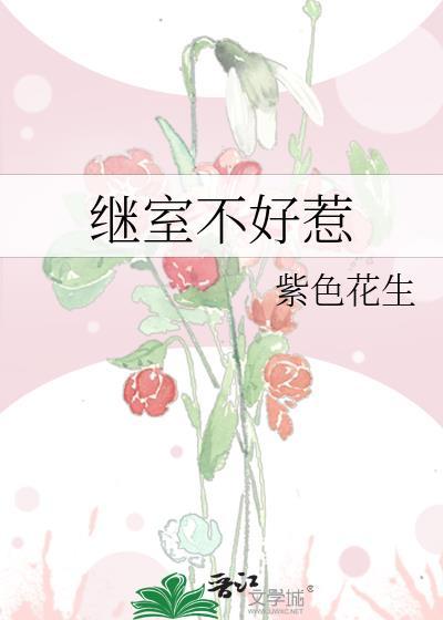 继室不好惹封面
