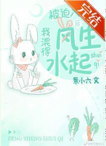 被迫入赘后我混得风生水起封面