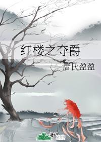 红楼之夺爵封面