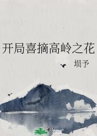 开局喜摘高岭之花封面