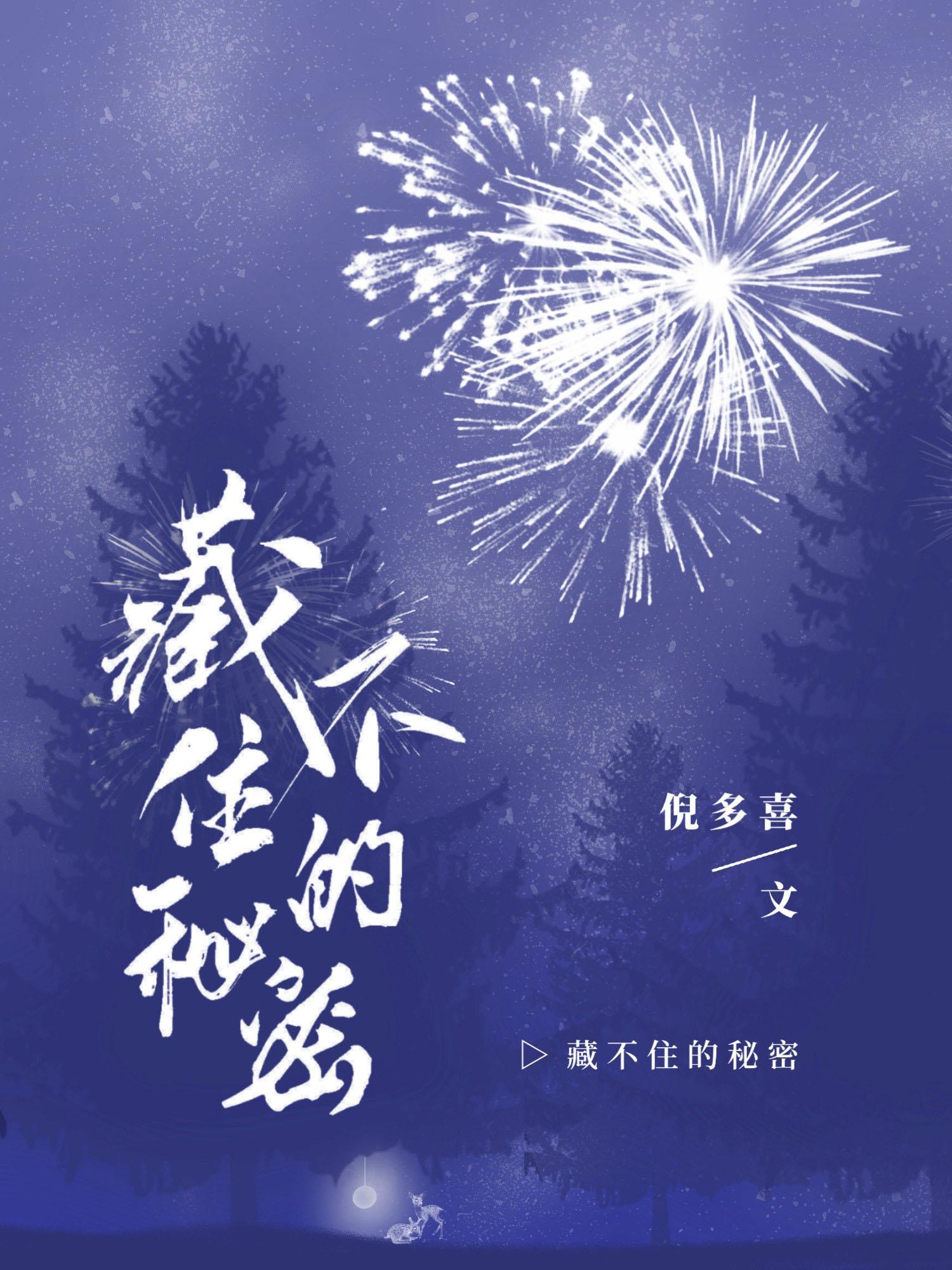 藏不住的秘密封面