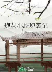 炮灰小厮逆袭记封面