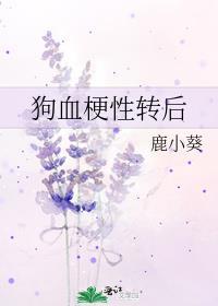 狗血梗性转后封面