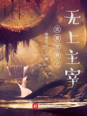 完美世界之无上主宰封面
