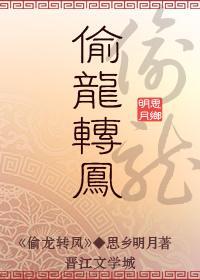 偷龙转凤封面