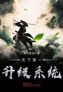 天下第一升级系统封面