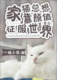 爆宠狂妻:神医五小姐封面