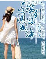不等到泪倾成海封面