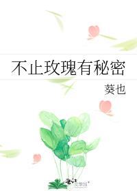不止玫瑰有秘密封面