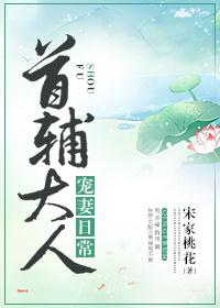 首辅大人宠妻日常封面