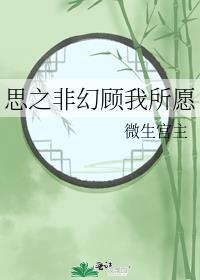 思之非幻顾我所愿封面