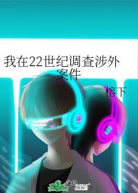 我在22世纪调查涉外案件封面