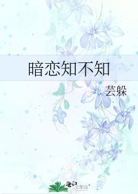 暗恋知不知封面
