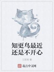主角叶晨峰封面
