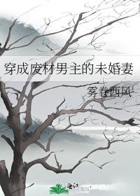 穿成废材男主的未婚妻封面