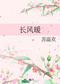 长风暖封面